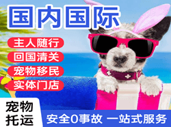 恩施空运国际宠物托运 【国